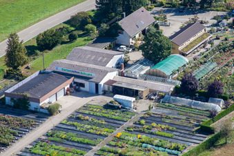 Aerial view of Garden Times Black in the district Bodersweier in Kehl in the state Baden-Wuerttemberg, Germany