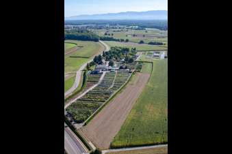 Oblique view of Garden Times Black in the district Bodersweier in Kehl in the state Baden-Wuerttemberg, Germany