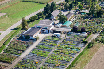 Garden Times Black in the district Bodersweier in Kehl in the state Baden-Wuerttemberg, Germany out of the air