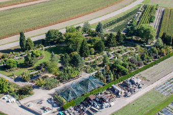 Garden Times Black in the district Bodersweier in Kehl in the state Baden-Wuerttemberg, Germany from the plane
