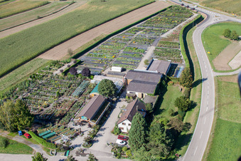 Bird's eye view of Garden Times Black in the district Bodersweier in Kehl in the state Baden-Wuerttemberg, Germany