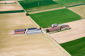 Aussiedlerhof am Höhenweg in Kandel in the state Rhineland-Palatinate, Germany