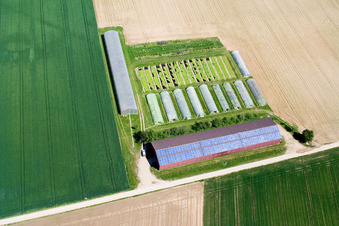 Greenhouses on the Höhenweg in Kandel in the state Rhineland-Palatinate, Germany