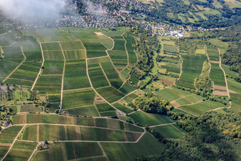 Sonnenberg in the district Schweigen in Schweigen-Rechtenbach in the state Rhineland-Palatinate, Germany from above