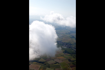 Riedseltz in the state Bas-Rhin, France from a drone