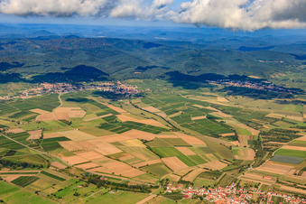 Fields from Schweighofen to Schweigen in the district Schweigen in Schweigen-Rechtenbach in the state Rhineland-Palatinate, Germany