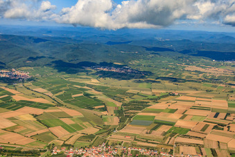 Fields from Schweighofen to Oberotterbach in Oberotterbach in the state Rhineland-Palatinate, Germany