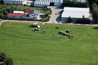 Open Farm Day in the district Minderslachen in Kandel in the state Rhineland-Palatinate, Germany