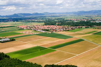 Town from the southeast in Steinweiler in the state Rhineland-Palatinate, Germany
