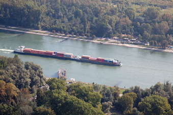 Ship for inland waterway transport in driving on the waterway of the river of the Rhine river in Eggenstein-Leopoldshafen in the state Baden-Wurttemberg