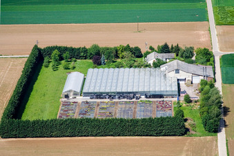 Aerial view of Blättnerhof in Steinweiler in the state Rhineland-Palatinate, Germany