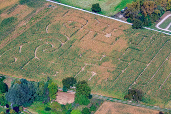 Aerial view of Seehof (corn maze) in Leimersheim in the state Rhineland-Palatinate, Germany