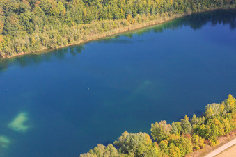 Lake in the Rhine meadows in Hördt in the state Rhineland-Palatinate, Germany