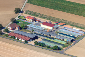 Holiday apartment Markus Fischer in Hördt in the state Rhineland-Palatinate, Germany