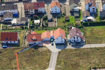 On the high trail in Kandel in the state Rhineland-Palatinate, Germany from a drone