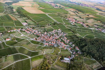 From the west in the district Gleishorbach in Gleiszellen-Gleishorbach in the state Rhineland-Palatinate, Germany