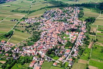 Aerial view of Town View of the streets and houses of the residential areas in the district Arzheim in Landau in der Pfalz in the state Rhineland-Palatinate