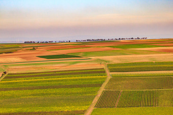 Aerial view of Wind farm from the south in Eppelsheim in the state Rhineland-Palatinate, Germany