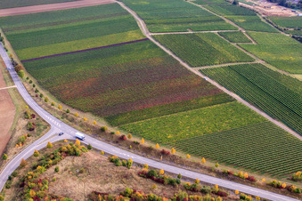 Aerial view of Vineyard on the Wäschbach in Ober-Flörsheim in the state Rhineland-Palatinate, Germany