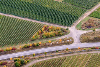 Aerial photograpy of Vineyard on the Wäschbach in Ober-Flörsheim in the state Rhineland-Palatinate, Germany