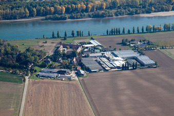 Homestead of a farm Petersau on the shore of the Rhine river in the district Petersau in Frankenthal (Pfalz) in the state Rhineland-Palatinate