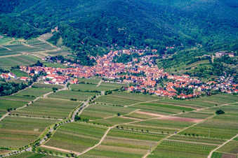 Place on the mountain edge from the east in the district Diedesfeld in Neustadt an der Weinstraße in the state Rhineland-Palatinate, Germany
