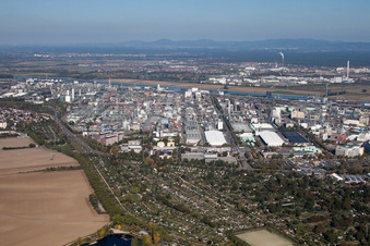 North in the district BASF in Ludwigshafen am Rhein in the state Rhineland-Palatinate, Germany seen from above