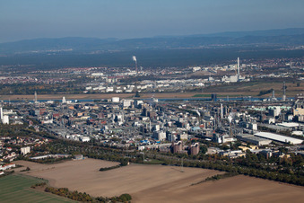 North in the district BASF in Ludwigshafen am Rhein in the state Rhineland-Palatinate, Germany from the plane