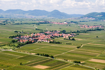 Village - view on the edge of wine yards in Roschbach in the state Rhineland-Palatinate, Germany fields and farml