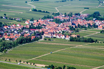 Place in the vineyards of the northeast in Roschbach in the state Rhineland-Palatinate, Germany
