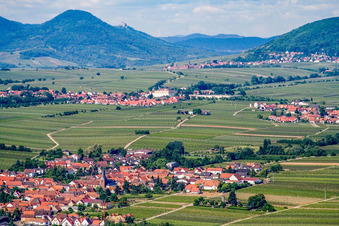 Aerial view of Place in the vineyards of the northeast in Roschbach in the state Rhineland-Palatinate, Germany