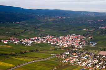 Village - view on the edge of wine yards in the district Ungstein in Bad Duerkheim in the state Rhineland-Palatinate