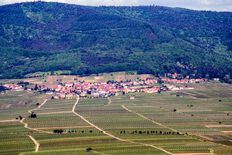 Place in the vineyards from the east in Weyher in der Pfalz in the state Rhineland-Palatinate, Germany