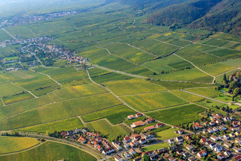 Aerial view of Forster Pechstein vineyard in Forst an der Weinstraße in the state Rhineland-Palatinate, Germany