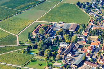 Winery Villa Wolf and Dr. Bürklin-Wolf in Wachenheim an der Weinstraße in the state Rhineland-Palatinate, Germany