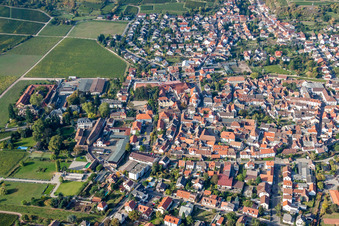 Town View of the streets and houses of the residential areas in Wachenheim an der Weinstrasse in the state Rhineland-Palatinate, Germany