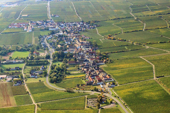 Wine-growing village from the north in Forst an der Weinstraße in the state Rhineland-Palatinate, Germany