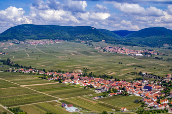 Vineyards between Burrweiler and Edesheim in Edesheim in the state Rhineland-Palatinate, Germany
