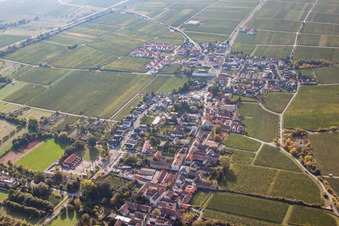 Aerial view of Village - view on the edge of wine yards in Forst an der Weinstrasse in the state Rhineland-Palatinate