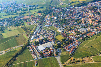 Wine Route in Deidesheim in the state Rhineland-Palatinate, Germany