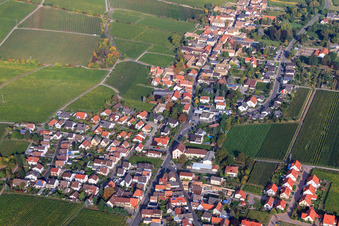 Wine Route in Forst an der Weinstraße in the state Rhineland-Palatinate, Germany
