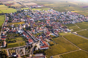 Village - view on the edge of wine yards in the district Koenigsbach in Ruppertsberg in the state Rhineland-Palatinate
