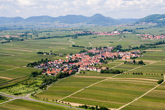 Aerial view of Village - view on the edge of wine yards in Roschbach in the state Rhineland-Palatinate, Germany fields and farml