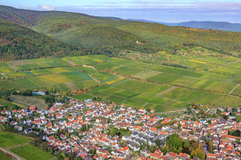 Deidesheimer Maushöhle and Hohenmorgen vineyards in Deidesheim in the state Rhineland-Palatinate, Germany
