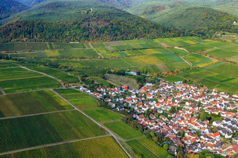 Aerial view of Deidesheimer Paradiesgarten vineyard in Deidesheim in the state Rhineland-Palatinate, Germany