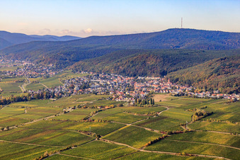 From the east in the district Königsbach in Neustadt an der Weinstraße in the state Rhineland-Palatinate, Germany
