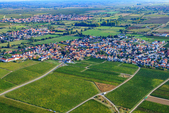 Wine-growing village from the southwest in Ruppertsberg in the state Rhineland-Palatinate, Germany