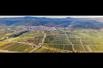 Panorama from the east in the district Königsbach in Neustadt an der Weinstraße in the state Rhineland-Palatinate, Germany