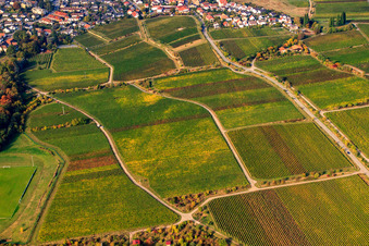 Wayside cross at Harlenweg in the district Königsbach in Neustadt an der Weinstraße in the state Rhineland-Palatinate, Germany