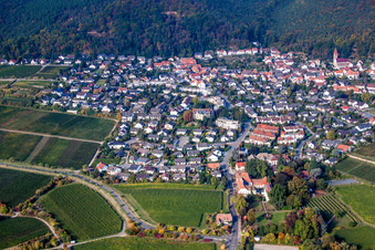 Aerial view of Village - view on the edge of wine yards in the district Koenigsbach in Neustadt an der Weinstrasse in the state Rhineland-Palatinate, Germany